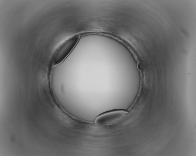 X0000113361452200910131251