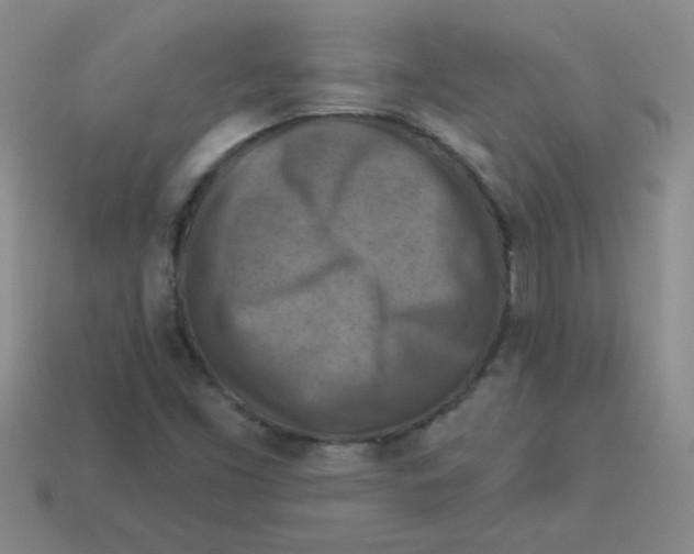 X0000113361453200910131251