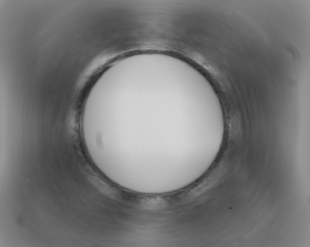 X0000113361454200910131250