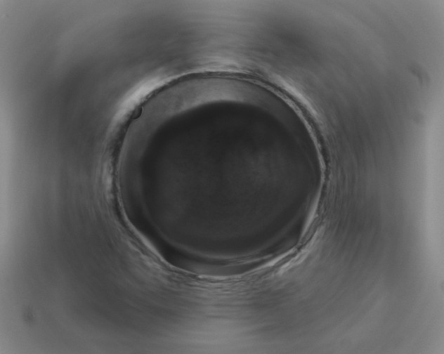 X0000113361455200910131250