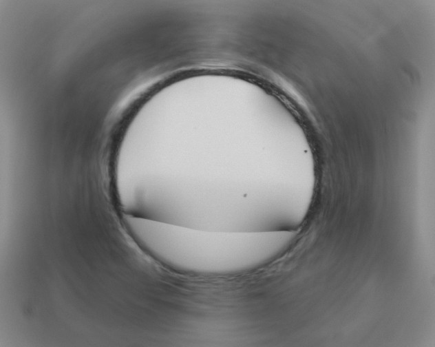 X0000113361456200910131250