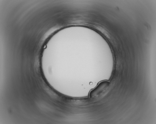 X0000113361458200910131250