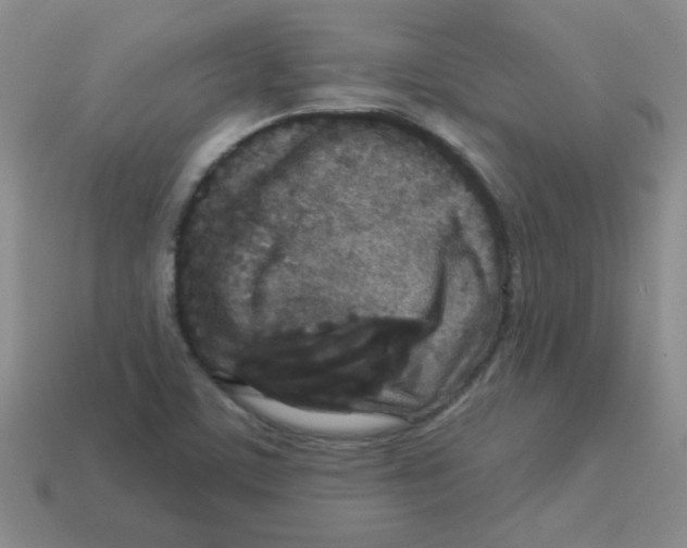 X0000113361459200910131250