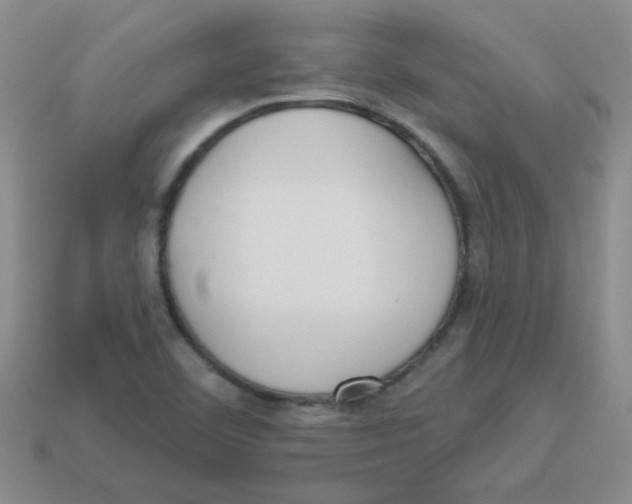 X0000113361460200910131250