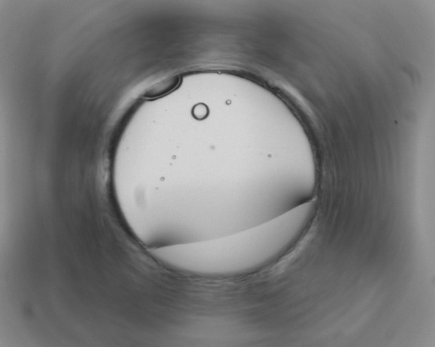 X0000113361461200910131250