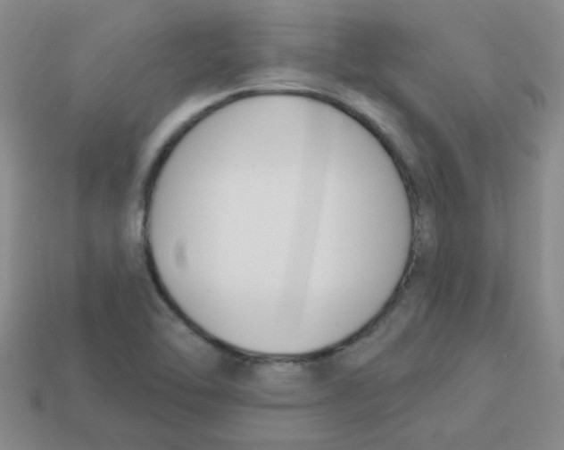 X0000113361462200910131250