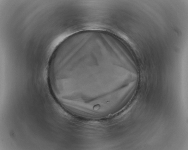 X0000113361463200910131250