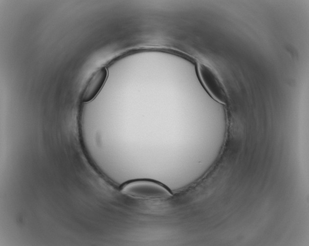 X0000113361464200910131250