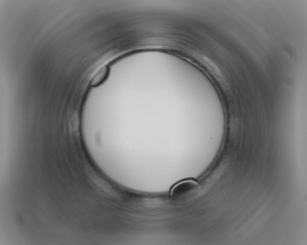 X0000113361465200910131250