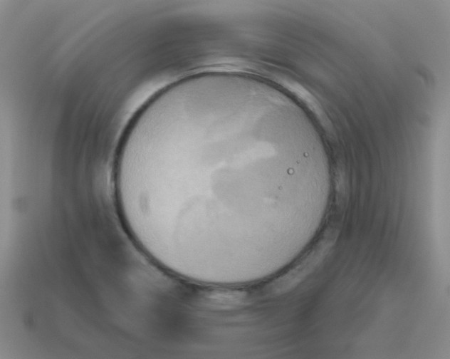 X0000113361466200910131250