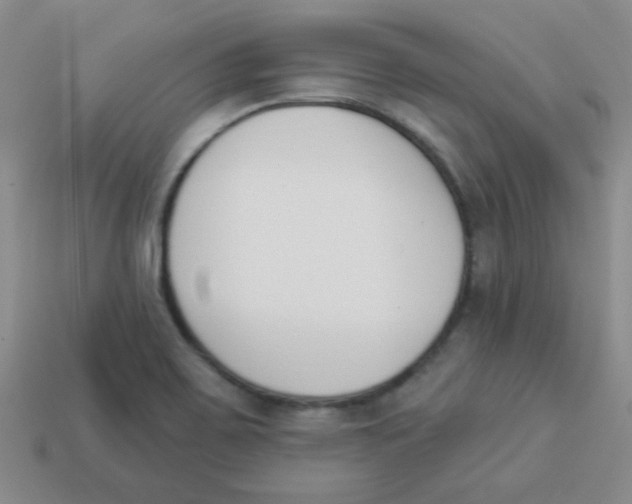 X0000113361467200910131250