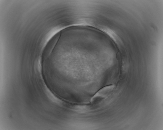 X0000113361468200910131250