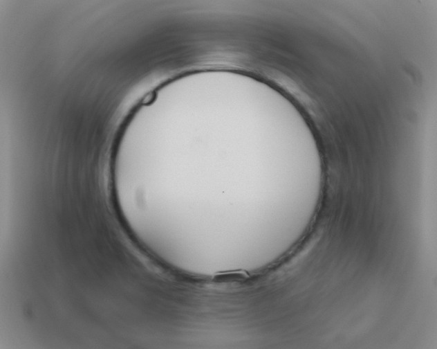 X0000113361469200910131250