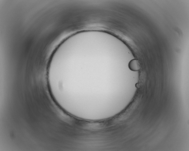 X0000113361470200910131250