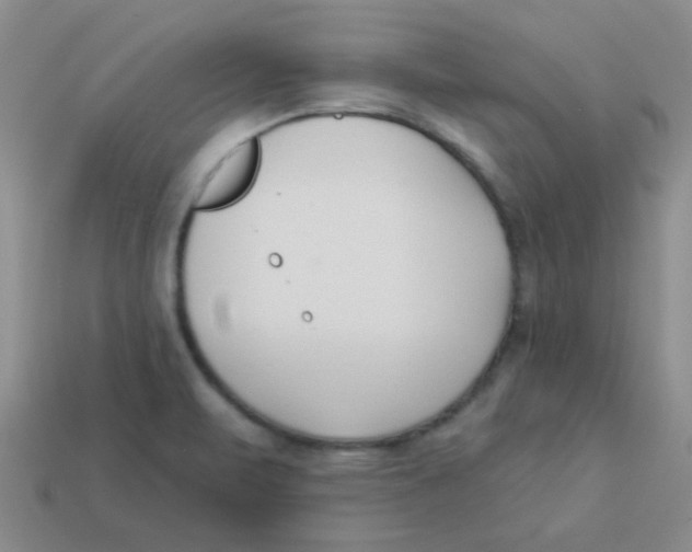 X0000113361471200910131250