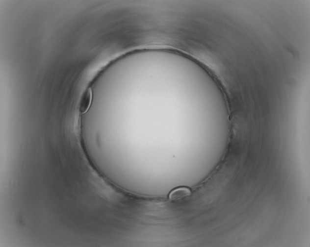 X0000113361472200910131250