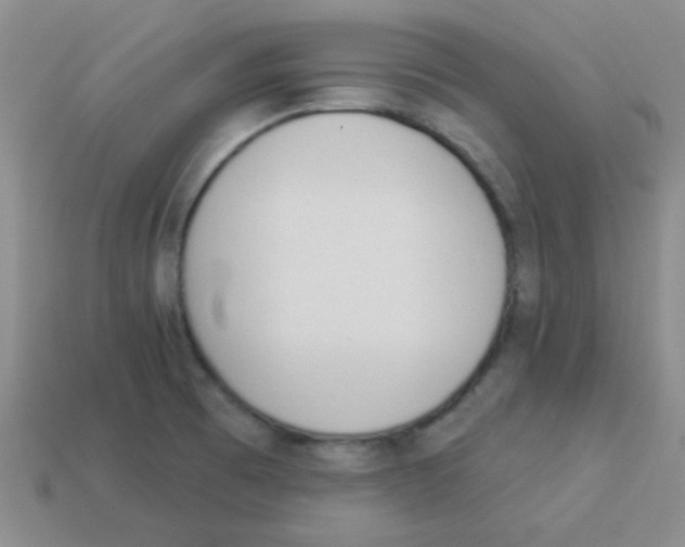 X0000113361473200910131250