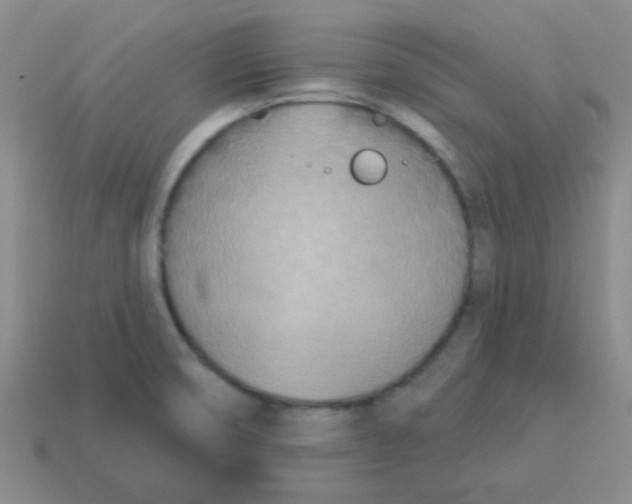 X0000113361474200910131250