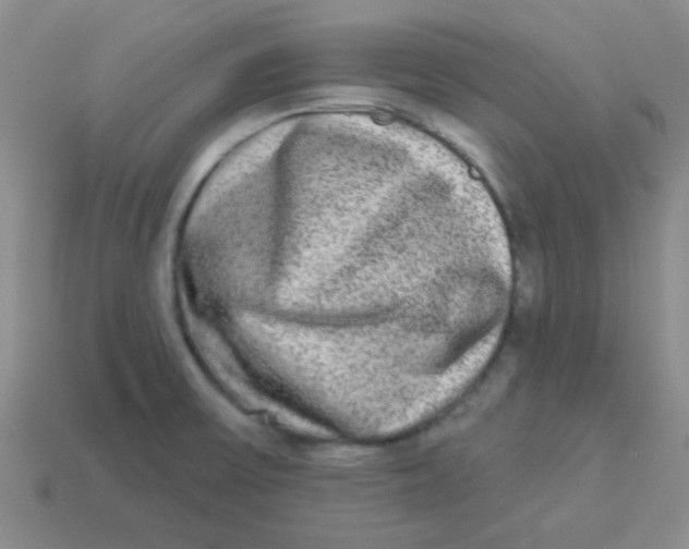 X0000113361475200910131250