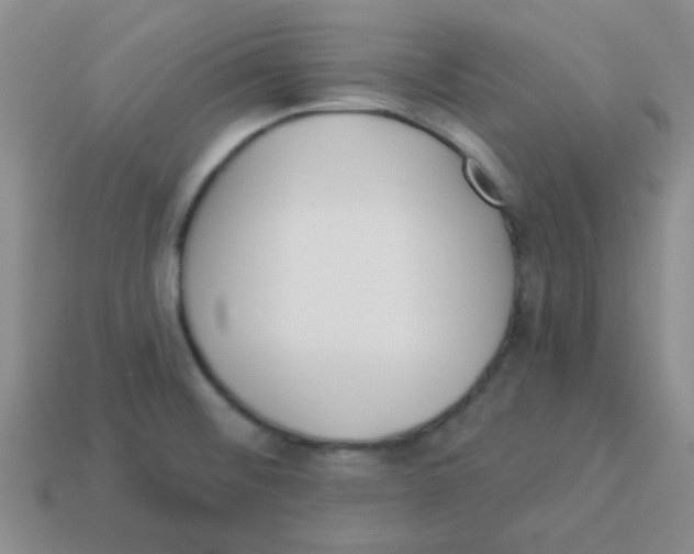 X0000113361476200910131250