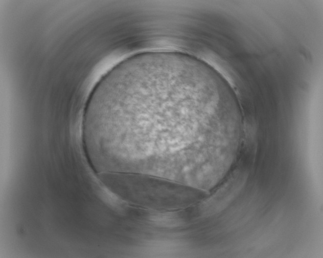 X0000113361477200910131250