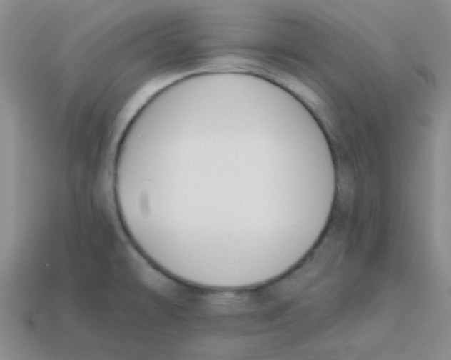 X0000113361478200910131250