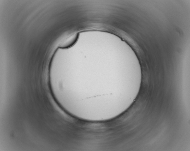 X0000113361479200910131250