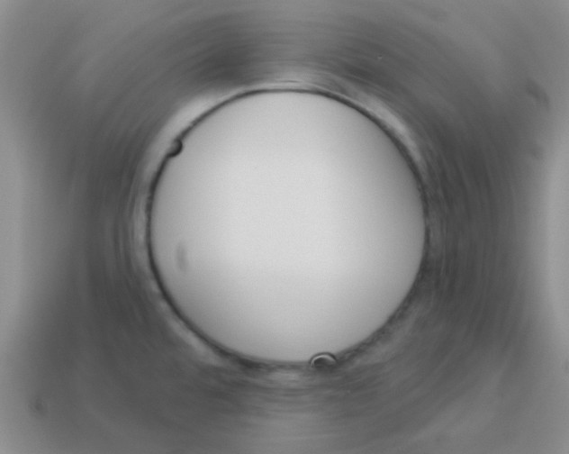 X0000113361480200910131250