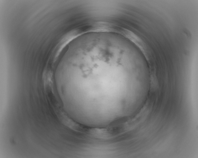 X0000113361481200910131250