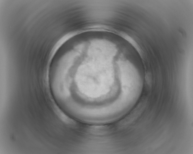 X0000113361482200910131250