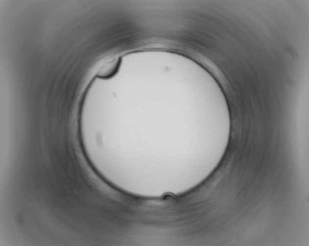 X0000113361483200910131250