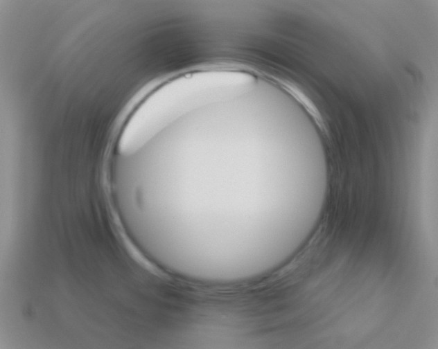 X0000113361484200910131250