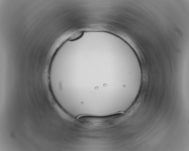 X0000113361485200910131250