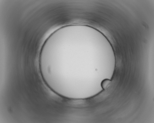 X0000113361486200910131250