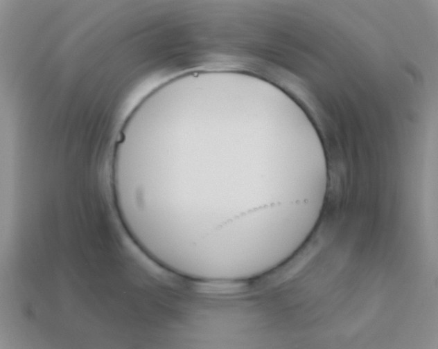 X0000113361487200910131250