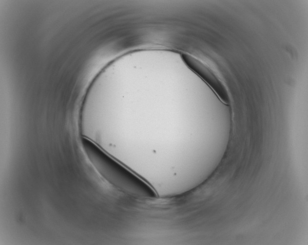 X0000113361488200910131250