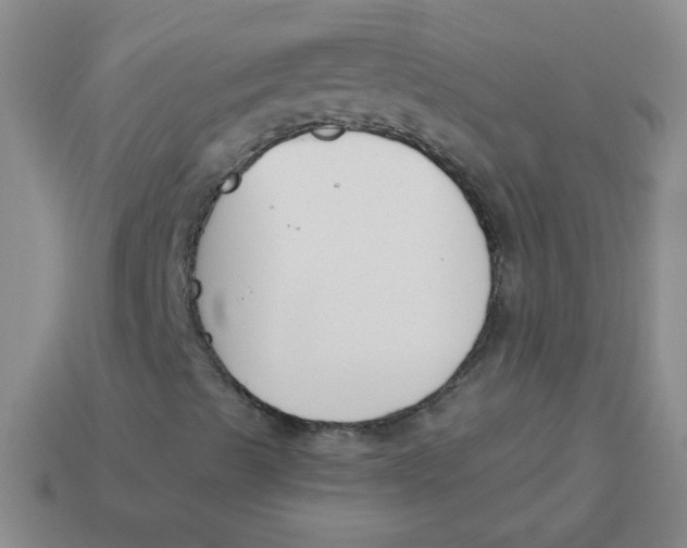 X0000113361489200910131249