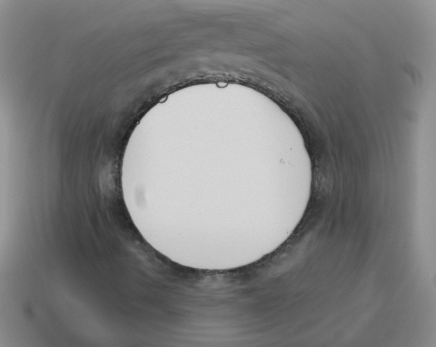 X0000113361490200910131249