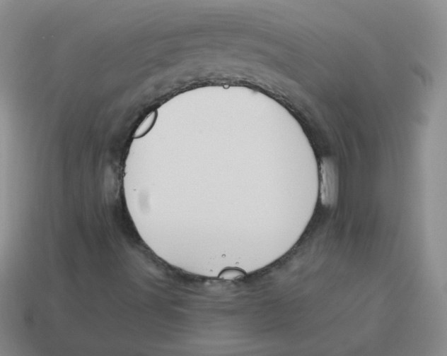 X0000113361491200910131249