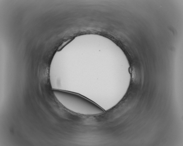 X0000113361492200910131249