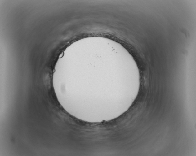 X0000113361493200910131249