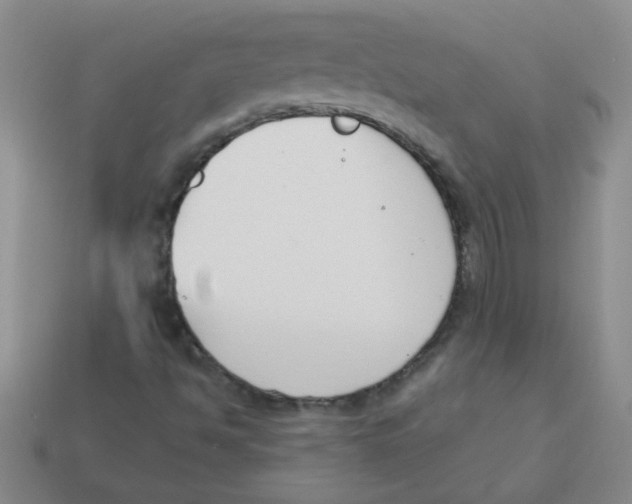 X0000113361494200910131249