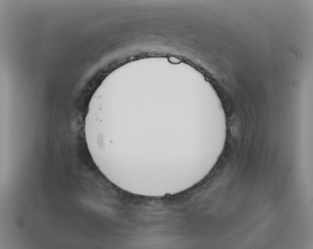 X0000113361495200910131249