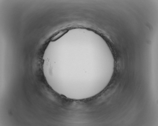 X0000113361496200910131249