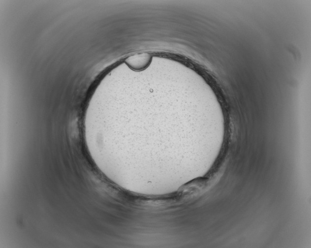 X0000113361497200910131249