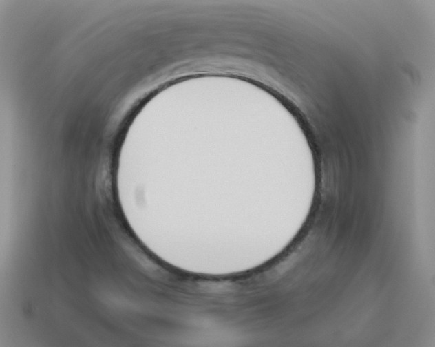 X0000113361498200910131249