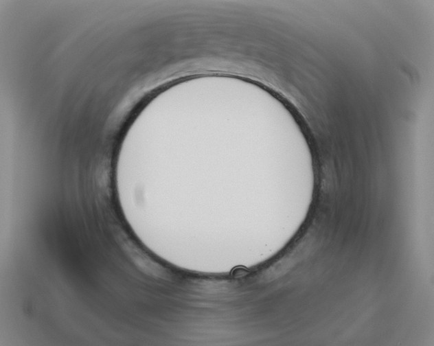 X0000113361499200910131249