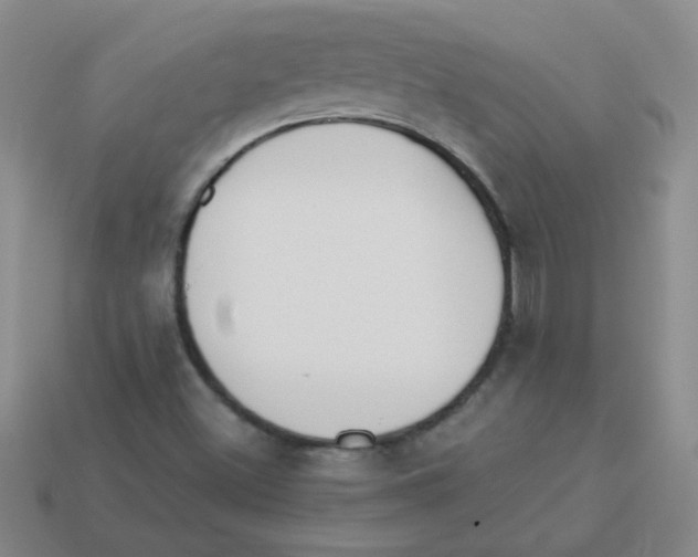 X0000113361500200910131250