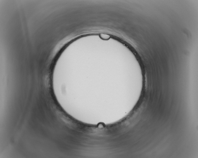 X0000113361501200910131250