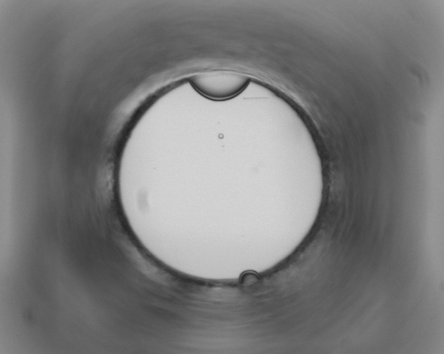 X0000113361503200910131250